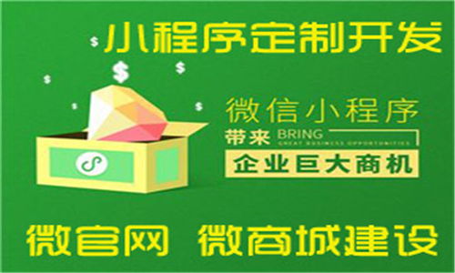 張家口網絡公司以創新軟件外包服務贏得客戶滿意